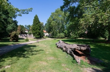 Zámecký park Choltice_archiv DSVČ