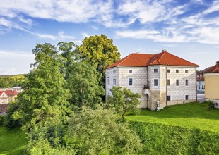 53. ročník Nasavrcké palety