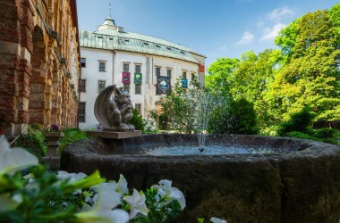 Zamek Międzylesie foto Rafał Kotylak  (7)